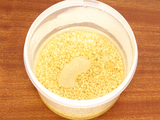 玄米麹１ｋｇ