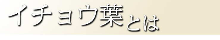 イチョウ葉とは