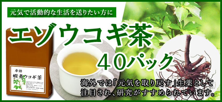 エゾウコギ茶４０パック