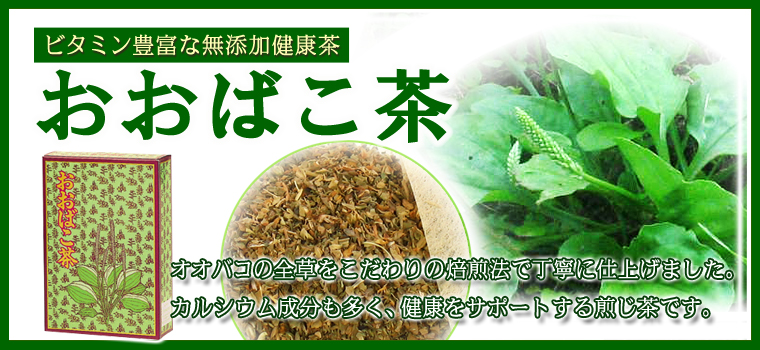 国産おおばこ茶５ｇ×３０パックの通販｜健康の樹