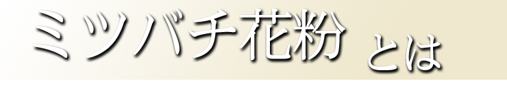 花粉とは