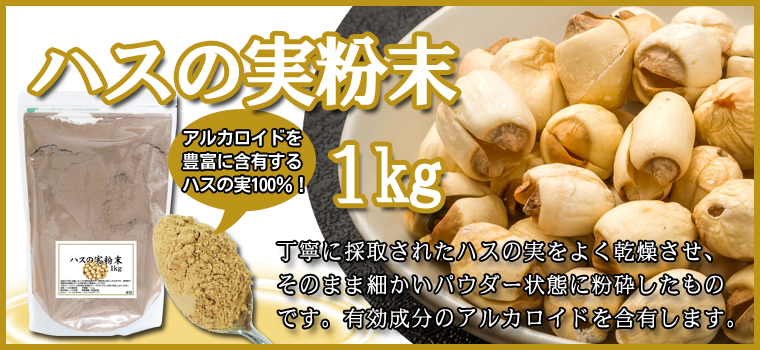 ハスの実粉末１ｋｇ