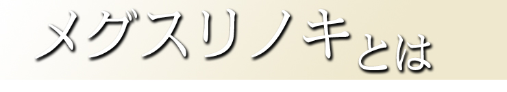 メグスリノキとは