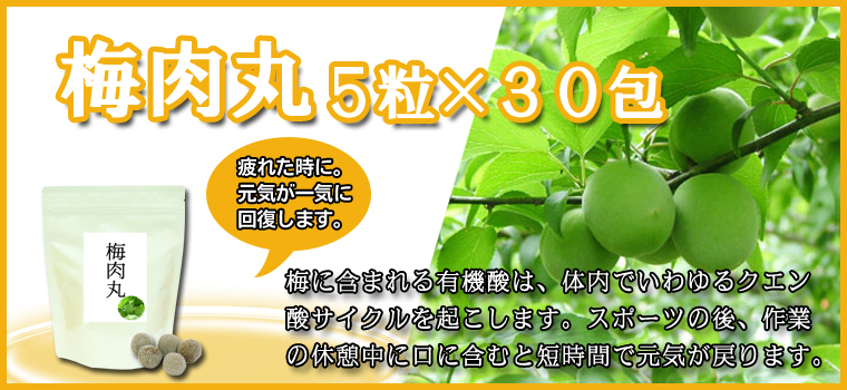 梅肉丸５粒×３０包