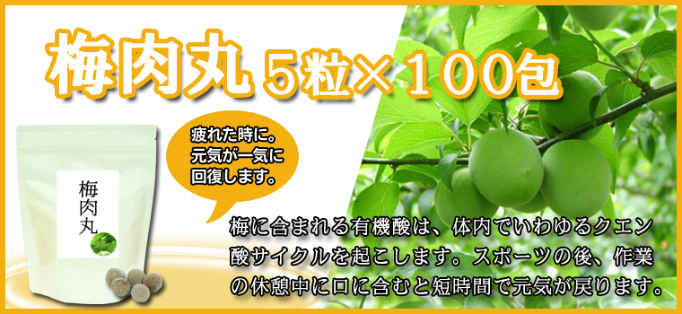 梅肉丸５粒×１００包