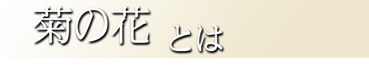 菊花とは