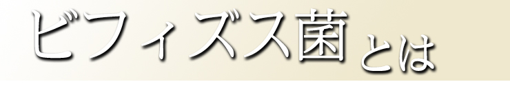 ビフィズス菌とは