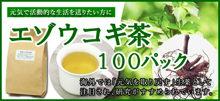 エゾウコギ茶１００パック