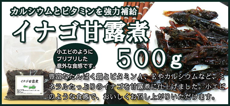 イナゴ甘露煮５００ｇ