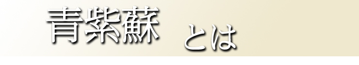 青紫蘇とは