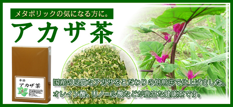 国産アカザ茶８ｇ×３０パック