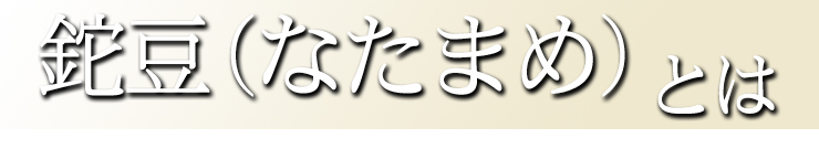 鉈豆とは