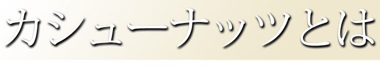 カシューナッツとは