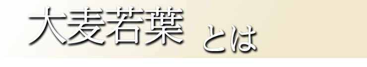 大麦若葉とは