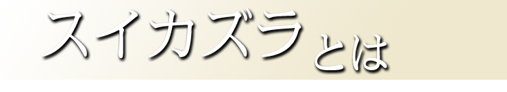 スイカズラとは