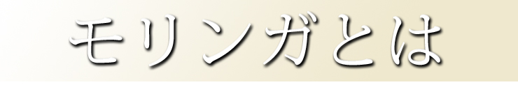 モリンガとは