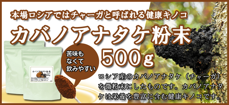 カバノアナタケ粉末５００ｇ