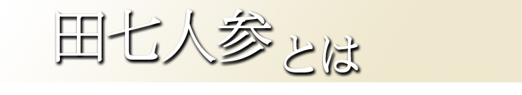 田七人参とは