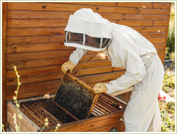 香り豊かな国産蜂蜜を使用