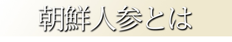 朝鮮人参とは