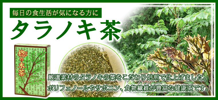 タラノキ茶３０パック