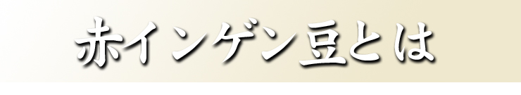 赤インゲン豆とは