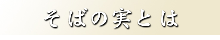 そばの実とは