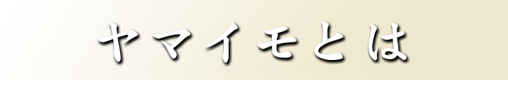 山芋とは