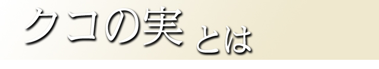 クコの実とは