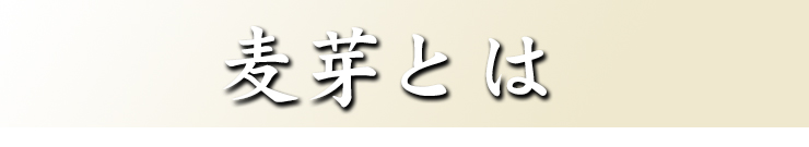 麦芽とは