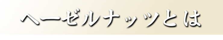 ヘーゼルナッツとは