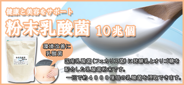 粉末乳酸菌１０兆個