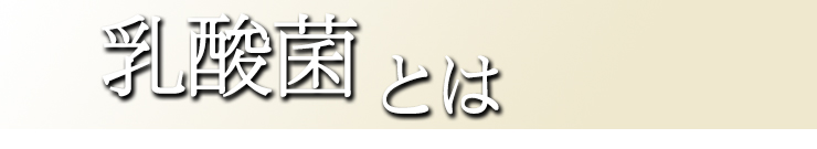乳酸菌とは