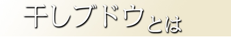 干しブドウとは