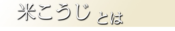 米麹とは