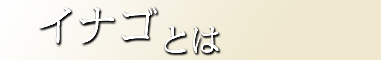 イナゴとは