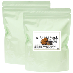 カバノアナタケ粉末500g