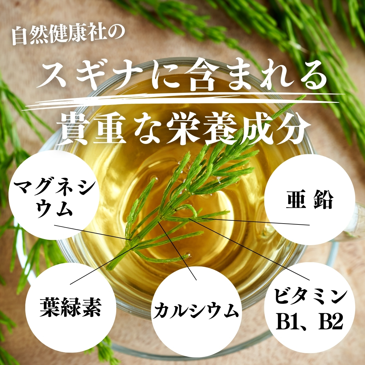 スギナに含まれる貴重な栄養成分