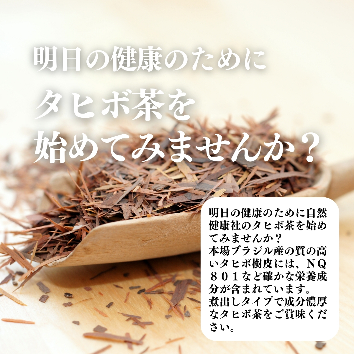 タヒボ茶をはじめてみませんか？