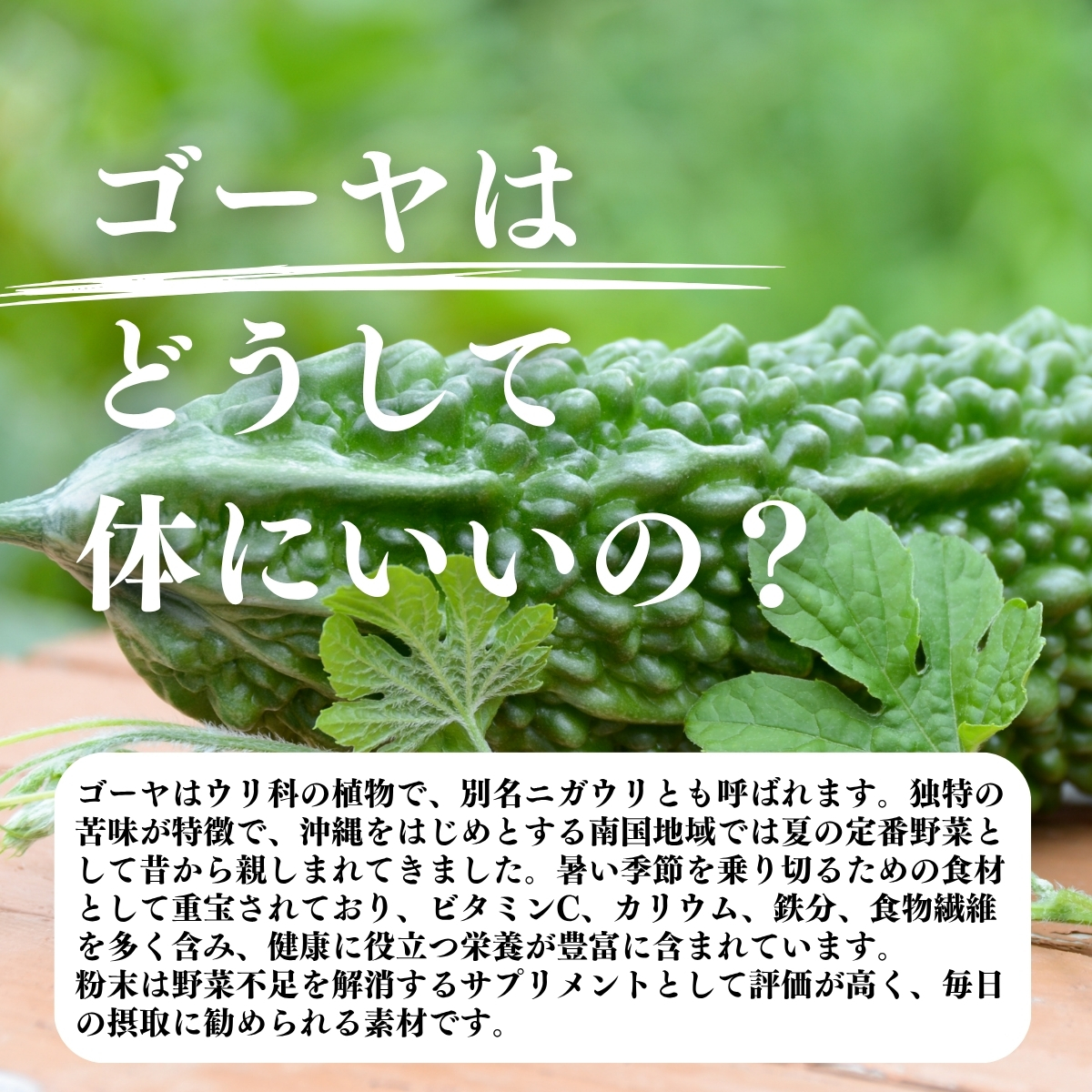 ゴーヤはどうして体にいいの？