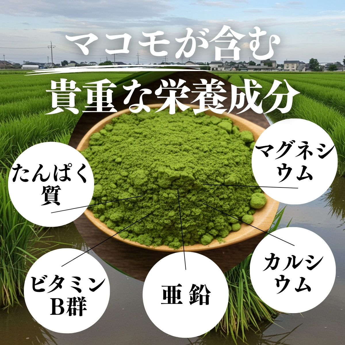 自然健康社 まこも粉末100g