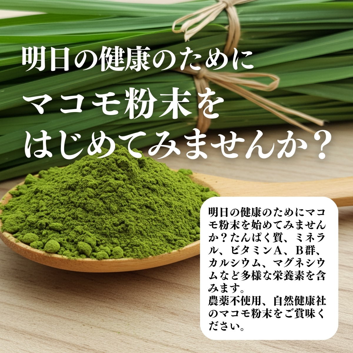 自然健康社 まこも粉末100g