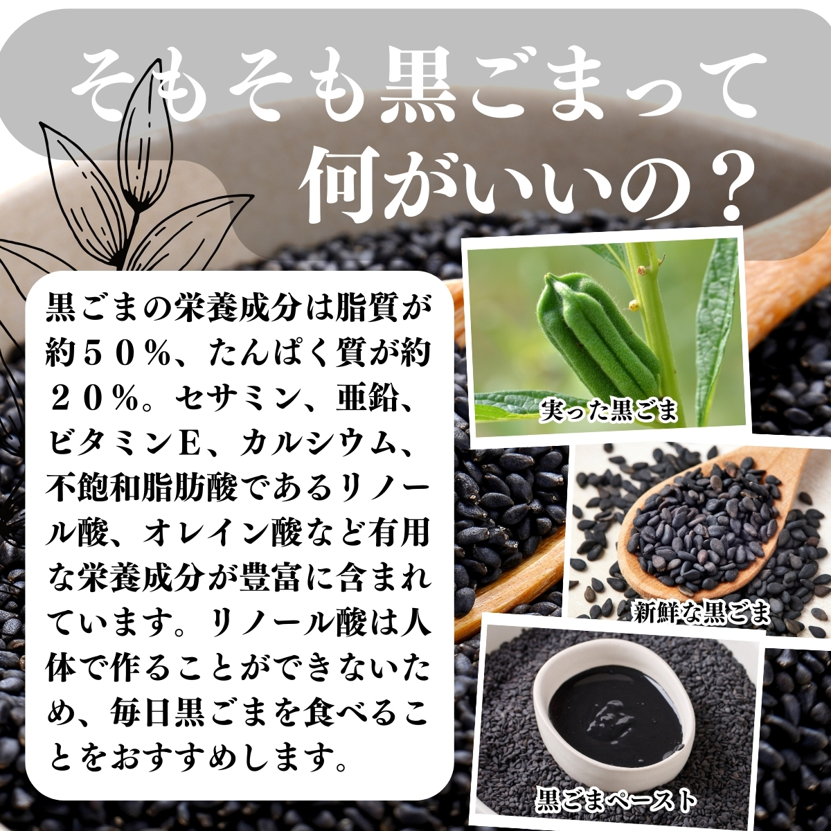 黒ごまって何がいいの？