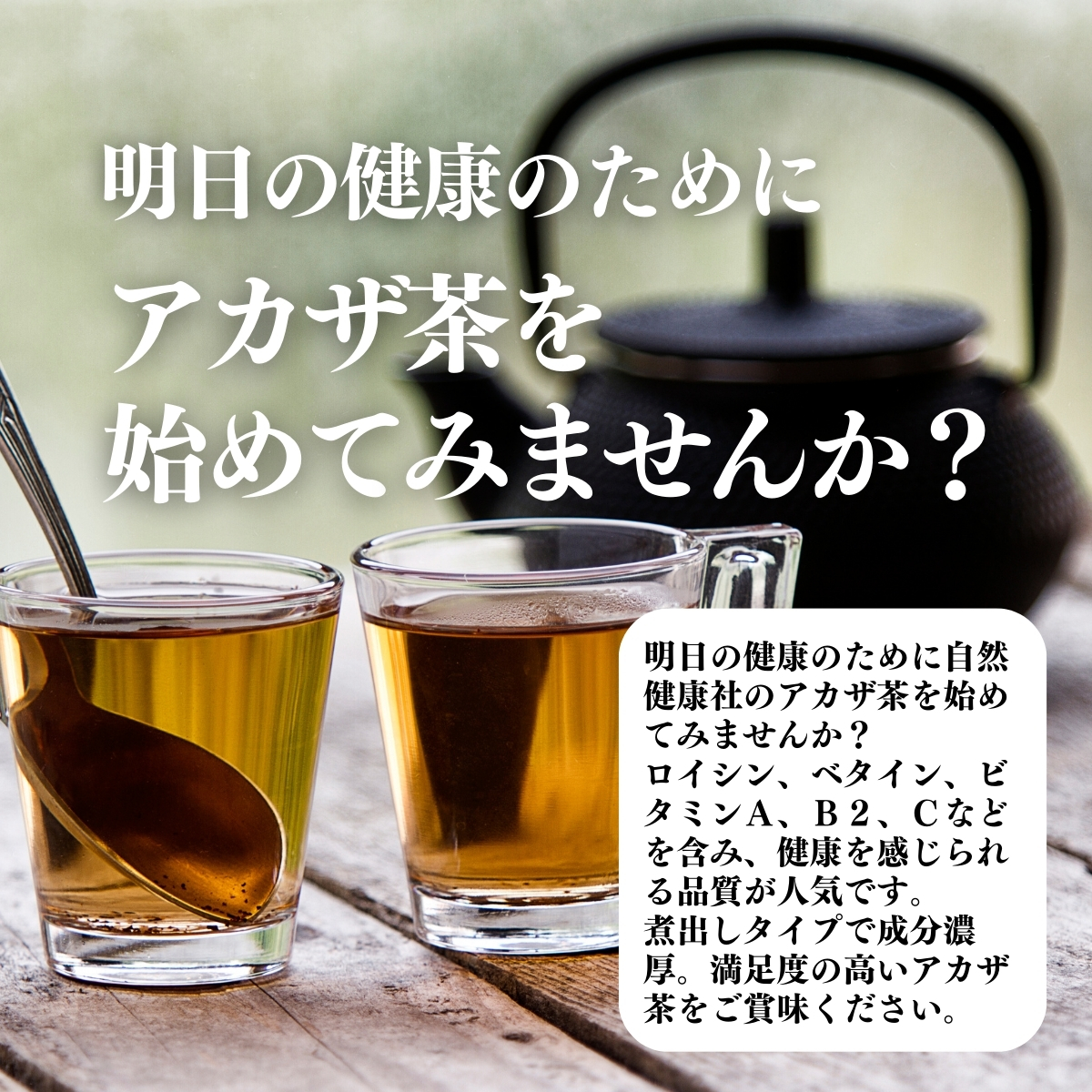 アカザ茶を始めてみませんか