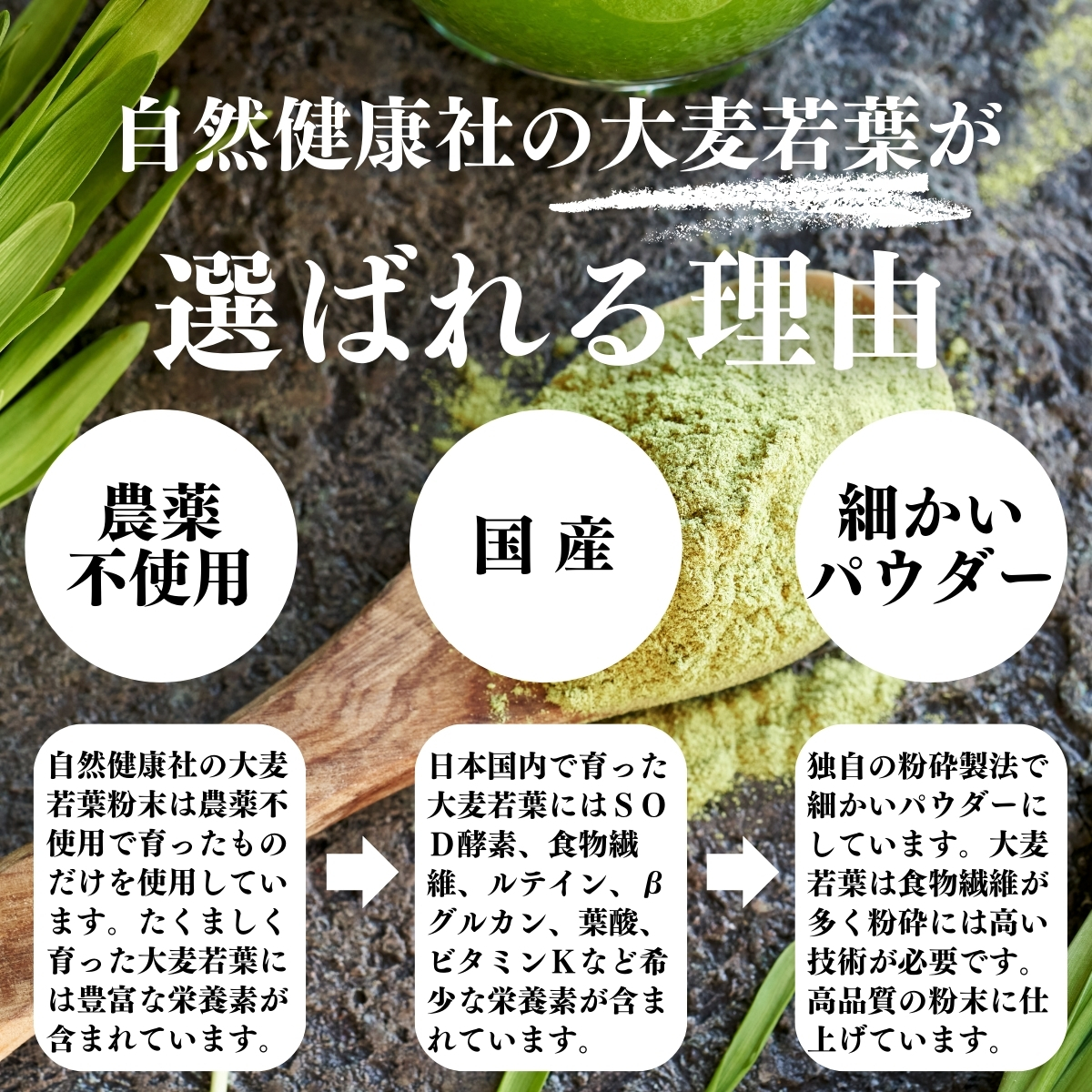 大麦若葉が選ばれる理由
