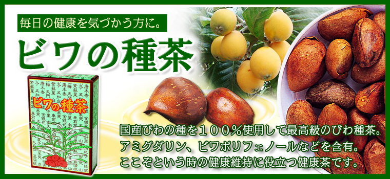 びわの種茶32パック 枇杷種 本州 四国 九州地域は5 400円以上で送料無料 びわの種茶32パック 枇杷種 本州 四国 九州地域は5 400円以上で送料無料