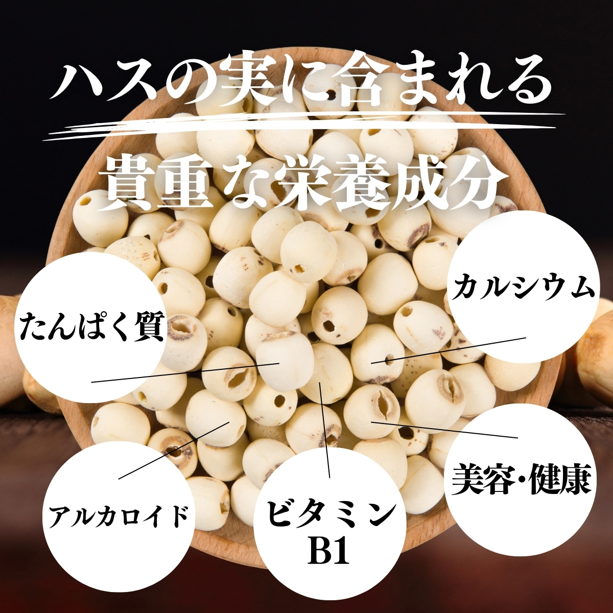 ハスの実に含まれる貴重な栄養成分