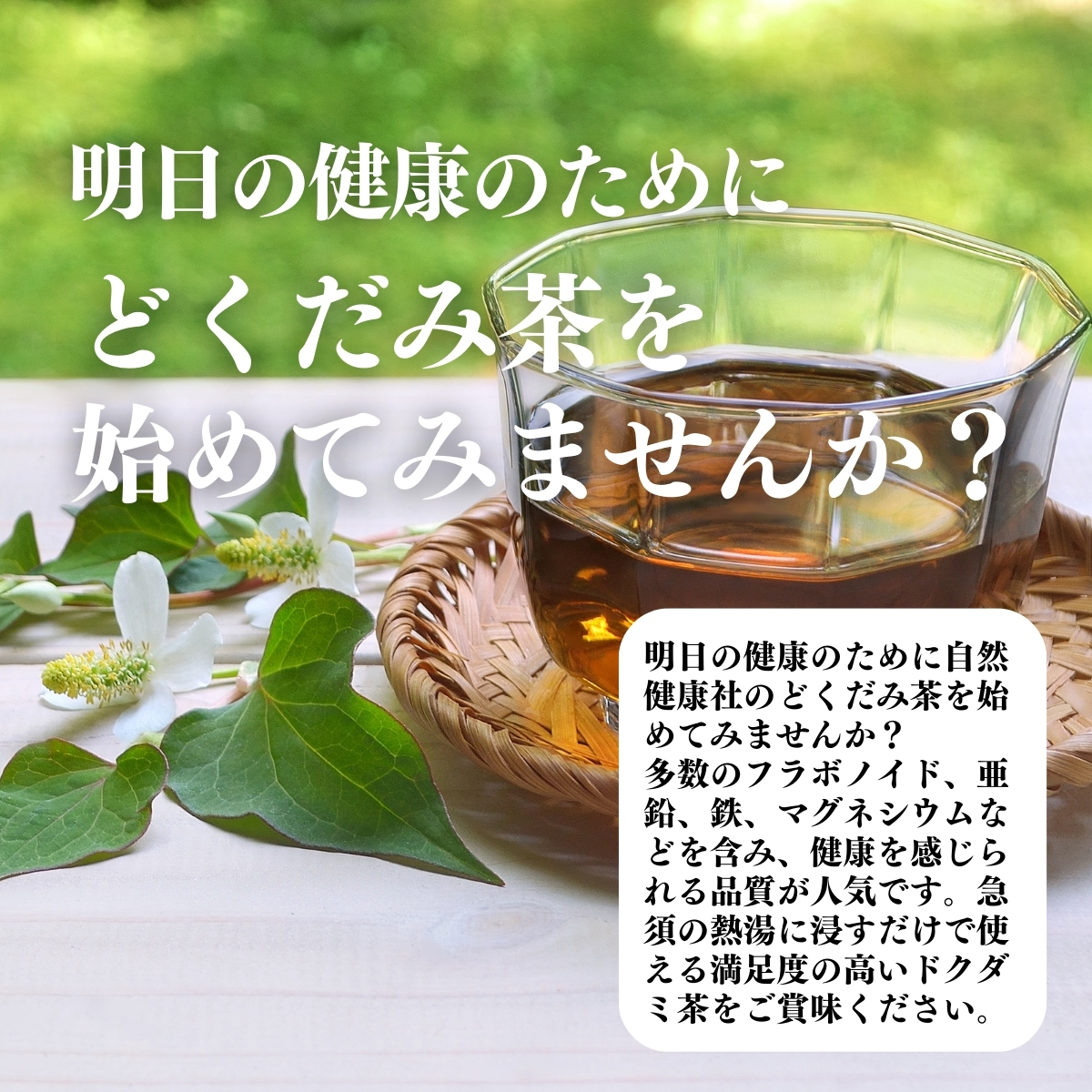 どくだみ茶を始めてみませんか