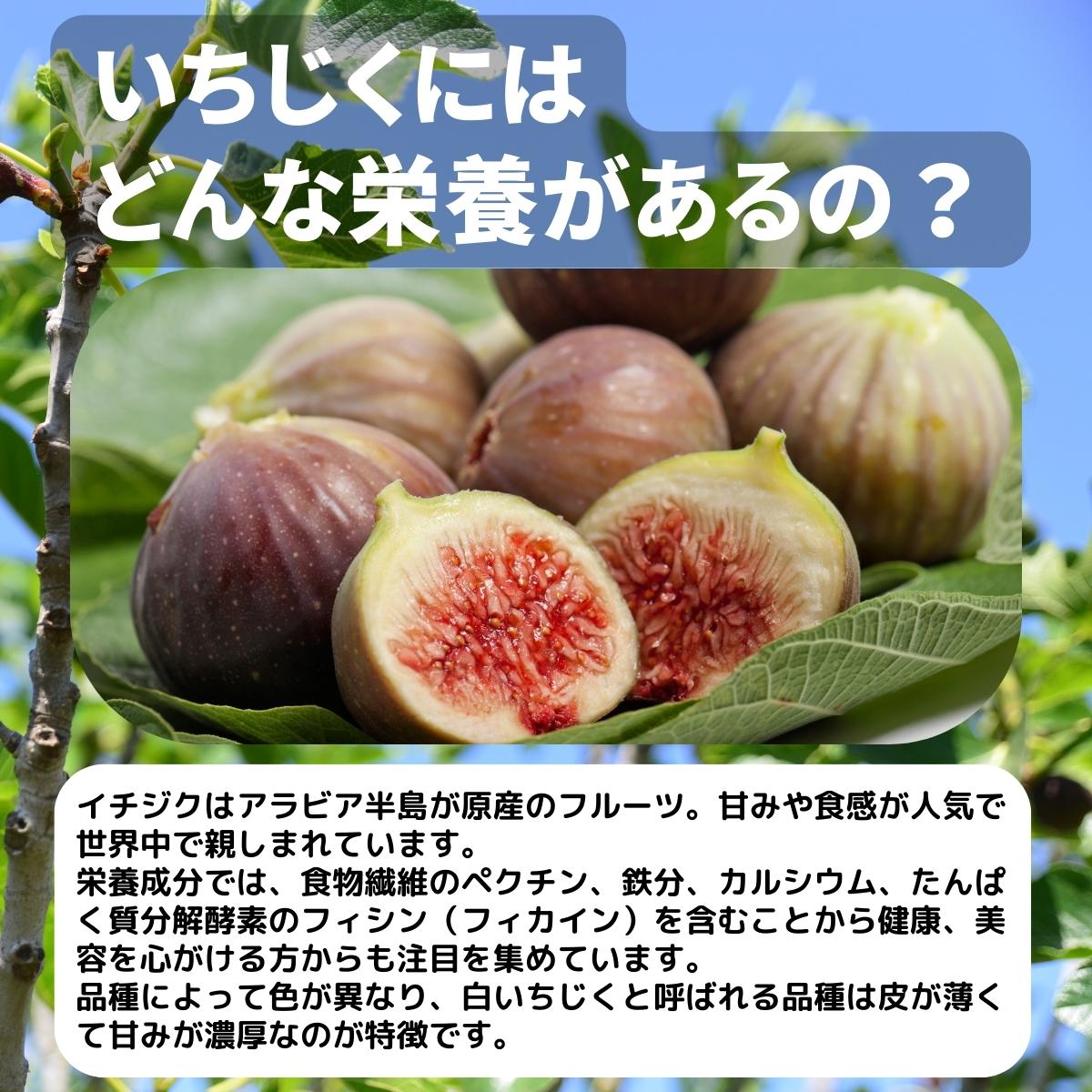 イチジクにはどんな栄養があるの