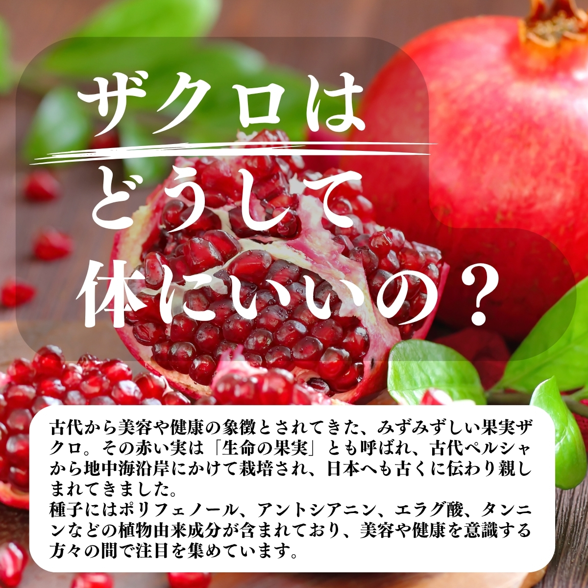 自然健康社 ザクロの種茶30パック